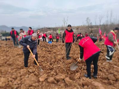 不负春光添新绿 植树造林正当时——房县民政局开展义务植树活动