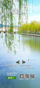 【诗里 酒里 我在诗酒房县等你】半岛湾垂柳