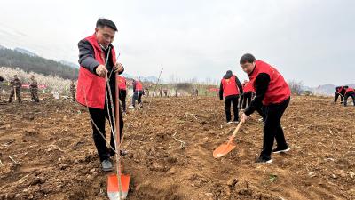 房县县委党校：赴绿色之约 植生态新绿