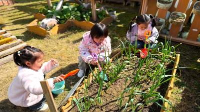 房县幼儿园:绿润童心 植梦春天