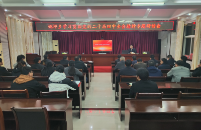 姚坪乡:深学细悟强思想 笃行实干担使命 