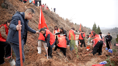 房县创文办：携手守水护绿 共建文明房县