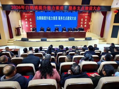 白鹤镇：凝心聚力再出发 实干争先谱新篇