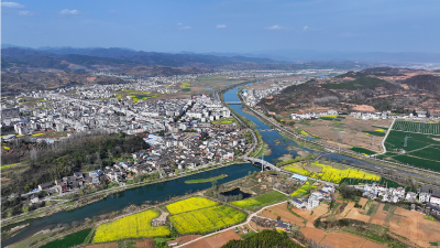 谢晓鸣主持召开全县项目谋划工作专题会