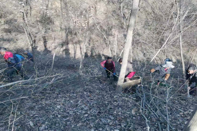 沙河乡：村干部带头种黄精 种出乡村振兴“金药方”