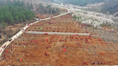  房县开展2026年春季义务植树活动