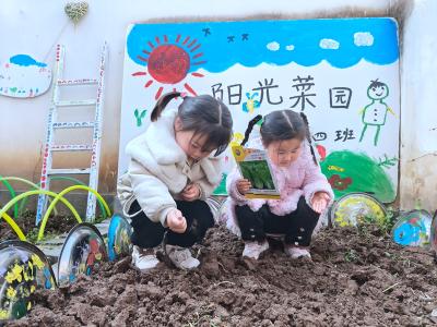 城关镇中心幼儿园以春种实践赋能幼儿自然成长