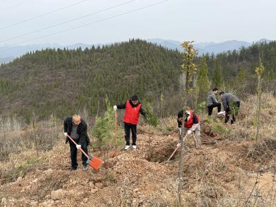 ​县气象局：开展“植绿筑生态 气象助房陵”植树活动