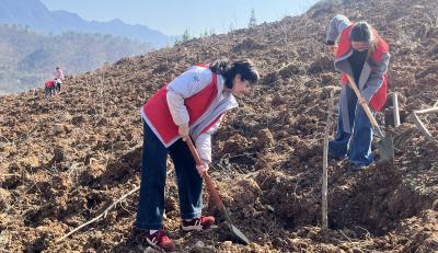 尹吉甫镇：植树添新绿 不负好春光