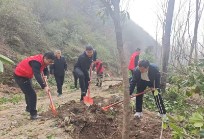 窑淮镇：春风拂绿陈家铺 窑淮植树正当时