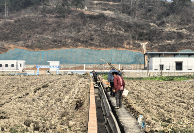 红塔镇人大：助力修缮灌溉渠 守护春耕民生水