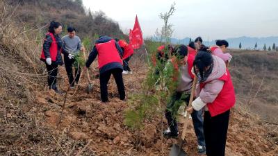 县农机服务中心:播撒绿色希望 展现农机担当
