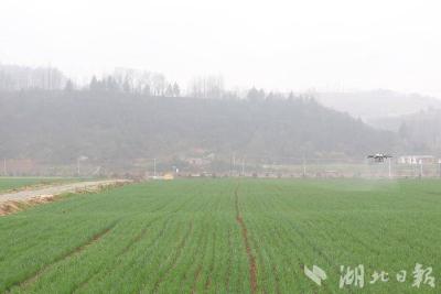 房县：千台农机轰隆响 万亩农田春耕忙