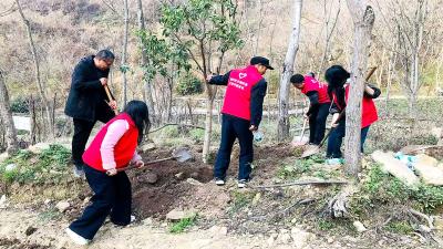 房县窑淮学校：春风添新绿 育人践初心