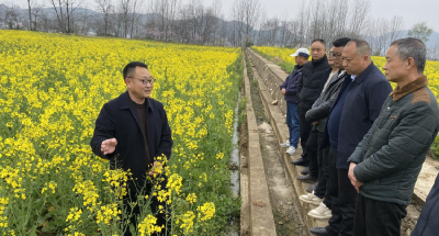 房县：培训课堂进田间 现场指导促增产