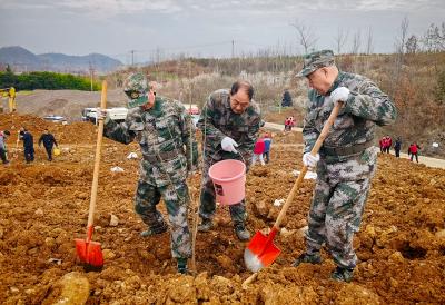 房县退役军人志愿服务队：退役不褪色 植树添新绿