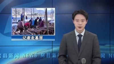 上龛乡：50万棒椴木香菇激活林下经济“一池春水”