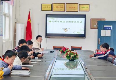 门古寺镇河兴小学：开展班级心理委员专题培训