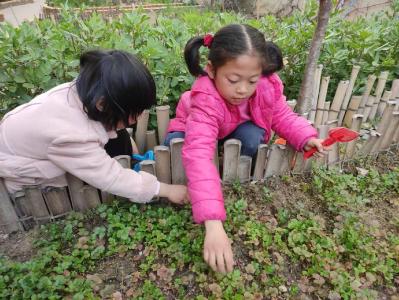 ​房县城关镇第二幼儿园：播种绿色希望 守护美好家园