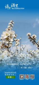 【诗里 酒里 我在诗酒房县等你】八里村樱桃花