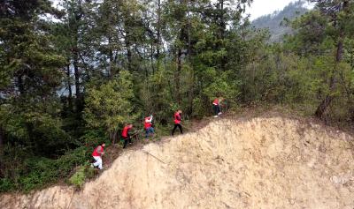 五台乡：多措并举织密森林防火安全网