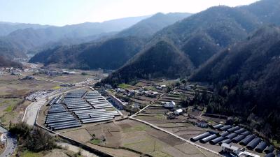 【记者走基层】上龛乡：抢抓农时忙春耕 特色产业绘新景