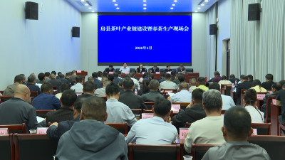 县茶叶产业链建设暨春茶生产现场会召开