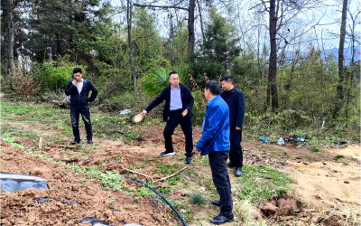 门古寺镇：人大代表在行动  精准滴灌润烟田