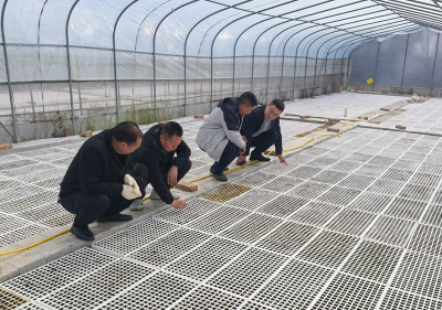 房县沙河乡：人勤春来早 烟叶育苗忙