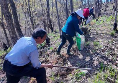 ​【记者走基层】窑淮镇：让群众端稳“生态碗”  吃上“绿色饭”