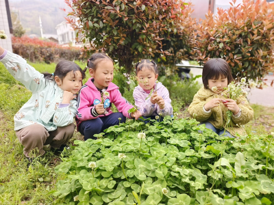 白鹤镇中心幼儿园：亲近自然趣探索 乐享童年好时光