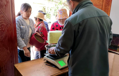 窑淮镇：春茶抢“鲜”采  茶农日进“斗金”