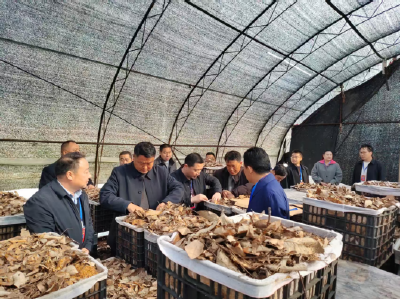 万峪河乡：观摩学习促提升 聚力攻坚谋发展