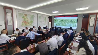 杨丹华主持召开2026年第一次规委会