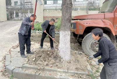 窑淮镇：整治花坛种菜乱象绘就集镇宜居新画卷