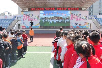 房县东城小学：法润童心护飞鸟 生态育人筑未来