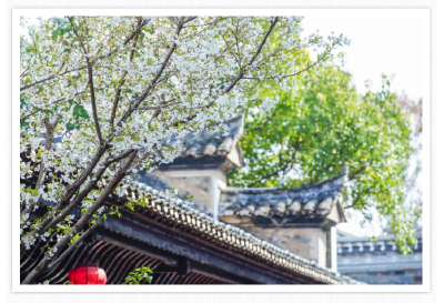 《诗韵九雅》花：花草树木皆“诗经”