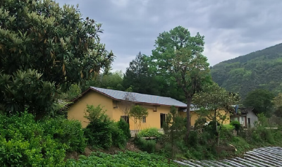  又闻喜鹊喳喳叫