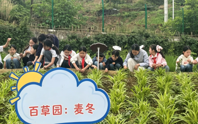 门古寺镇河兴小学：百草园里践劳动 泥土芬芳润童心