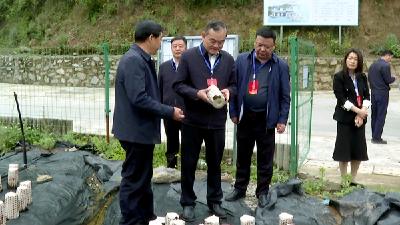 市人大常委会主任赵哲来房调研并开展“聚力支点建设·推动产业升级”代表行动