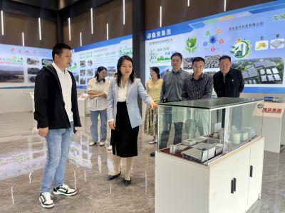 房县人大常委会开展循环经济产业专题调研