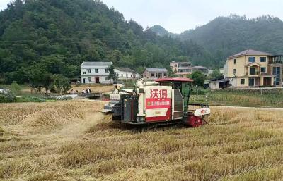 房县供销社农服公司：抢抓晴好天时全力推进小麦抢收抢烘保丰收