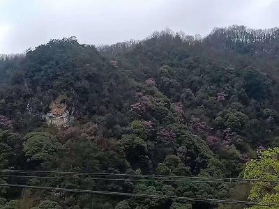 门古寺镇土城村关于虎头岩的民间传说故事