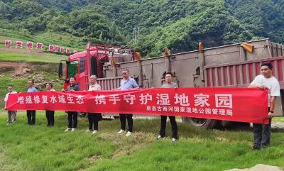 房县湿地局开展增殖放流活动 250万尾鱼苗“安家”南河