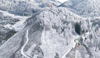 建始：冬雪落林海