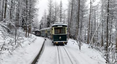 建始：雪地森林小火车 宛如美丽画卷