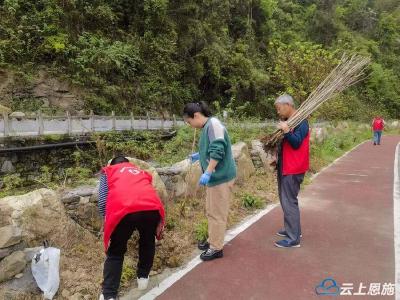 宣恩县板寮村：齐心栽种紫荆花 共同缔造3A景区