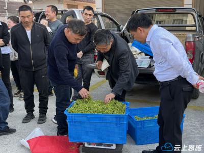 成交108.9万元！利川首家茶叶交易市场火热开市