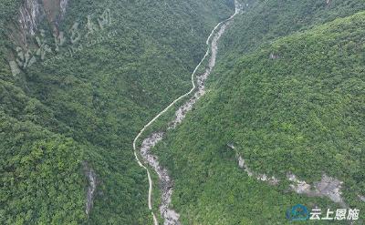 巴东：500名嘉宾探野茶之境　品秘境之美