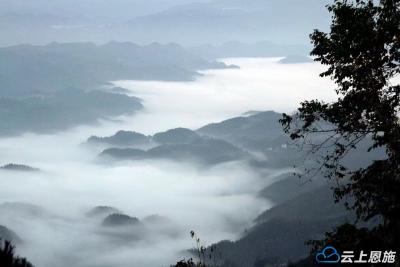 组图 | 利川：雨后的水墨丹青云海画卷